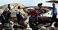 On the rocks