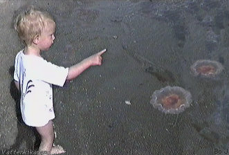 Boy and jellyfish