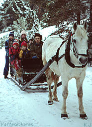 Sleigh ride