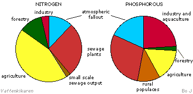 Distribution of nutrients