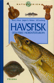 Framsida Havsfisk och fiske i Nordvästeuropa
