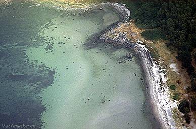 Beach from above