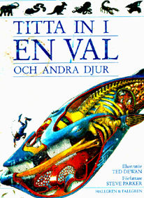 Framsida Titta in i en val och andra djur