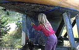 Barnacles on boat hull