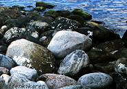 Washed up stones