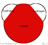 Water molecule