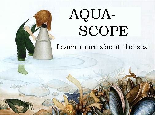 Welcome to Aquascope