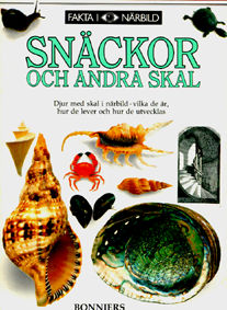 Framsida Snäckor och andra skal