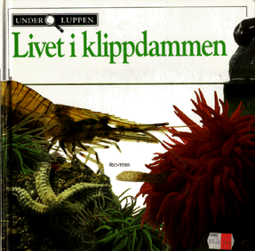 Framsida Livet i klippdammen