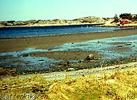 Beach at low tide